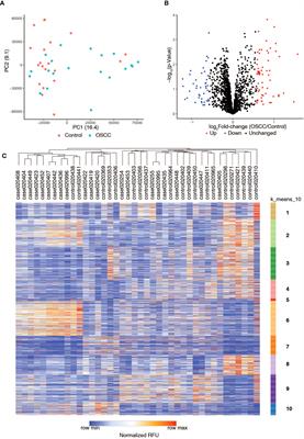 Serum autoantibody profiling of oral squamous cell carcinoma patients reveals NUBP2 as a potential diagnostic marker